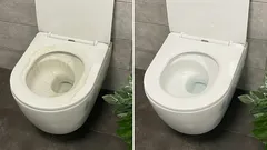 Twee tabletten per halve liter water – en zelfs het oudste toilet glanst weer als nieuw.