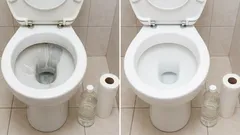 Een rol toiletpapier en azijn: een eenvoudige manier om kalkaanslag in het toilet te verwijderen en het weer in zijn oorspronkelijke staat te herstellen.