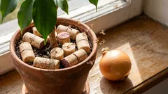 Ik heb de vliegen in de uien en bloemen weggejaagd met een gewone wijnkurk (en ik raad je aan om hetzelfde te doen – het werkt!).